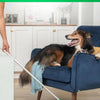 A dog is sitting on a blue chair while a white mop and green cleaning pad are visible in a bright room.