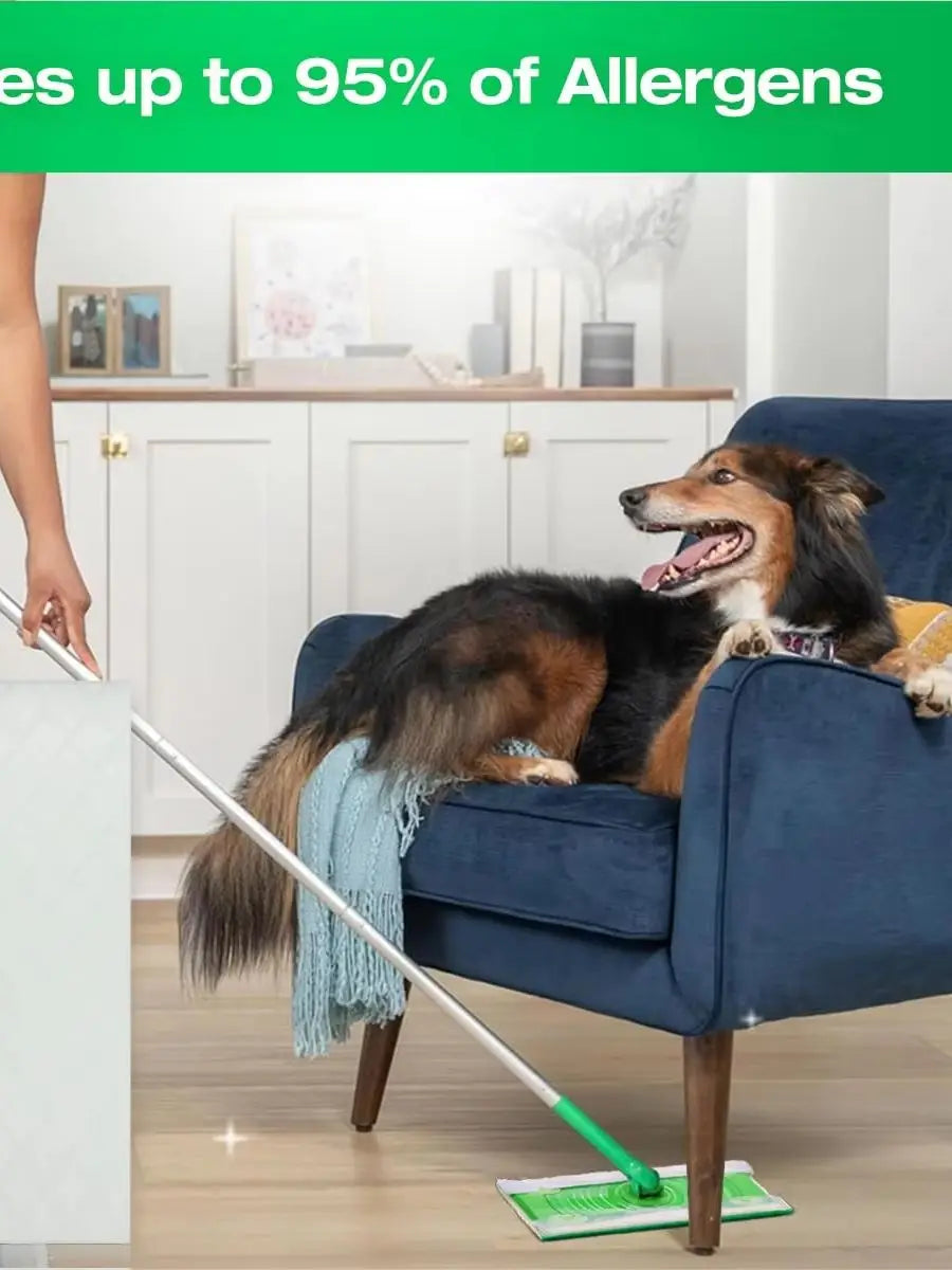A dog is sitting on a blue chair while a white mop and green cleaning pad are visible in a bright room.