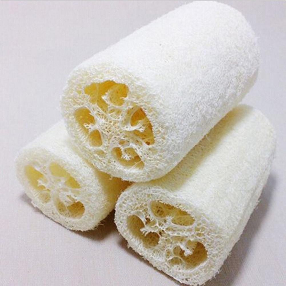A roll of natural loofah sponge showing the porous texture and light yellow color.