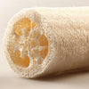 A roll of natural loofah sponge, showing the porous texture and light tan color.