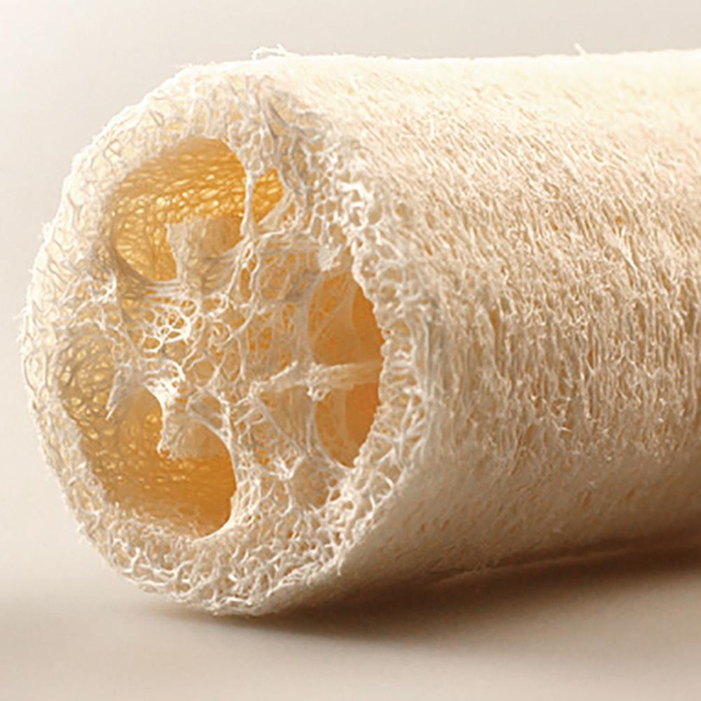 A roll of natural loofah sponge, showing the porous texture and light tan color.