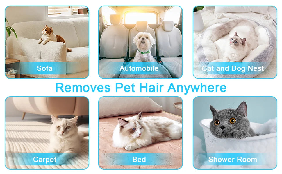 Reusable multi-surface pet hair remover tool shown cleaning sofa, automobile, cat and dog nest, carpet, bed, and shower room 