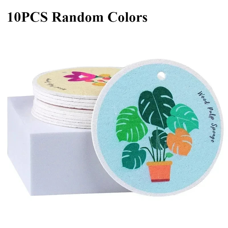 A circular tag featuring green Monstera leaves in an orange pot, next to a stack of 10 random colored wood pulp sponges.