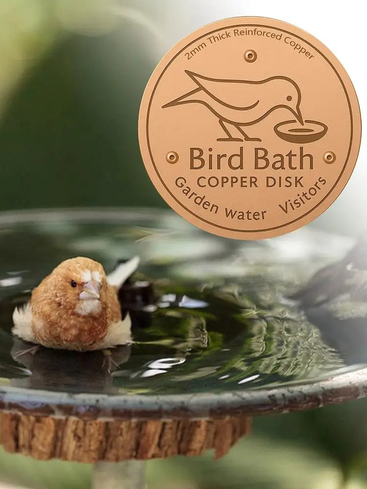 A small brown bird is drinking water from a copper disk bird bath in a garden setting.