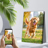 شخص يمسك هاتفًا محمولًا يعرض صورة مخصصة لكلب جولدن ريتريفر سعيد يركض في حقل، مؤطرة كعمل فني للحائط.