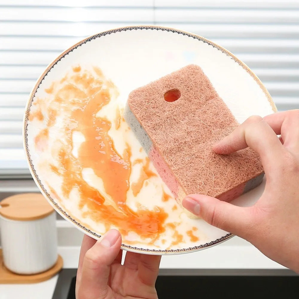 A hand holds a round plate with an orange cleaning sponge on it, set against a white background.