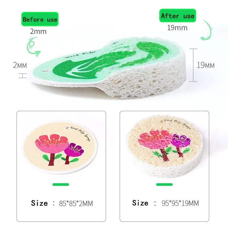Comparison of wood pulp sponges showing size difference before and after use.
