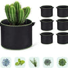 A potted cactus plant in a black grow bag with multiple black fabric plant pots.