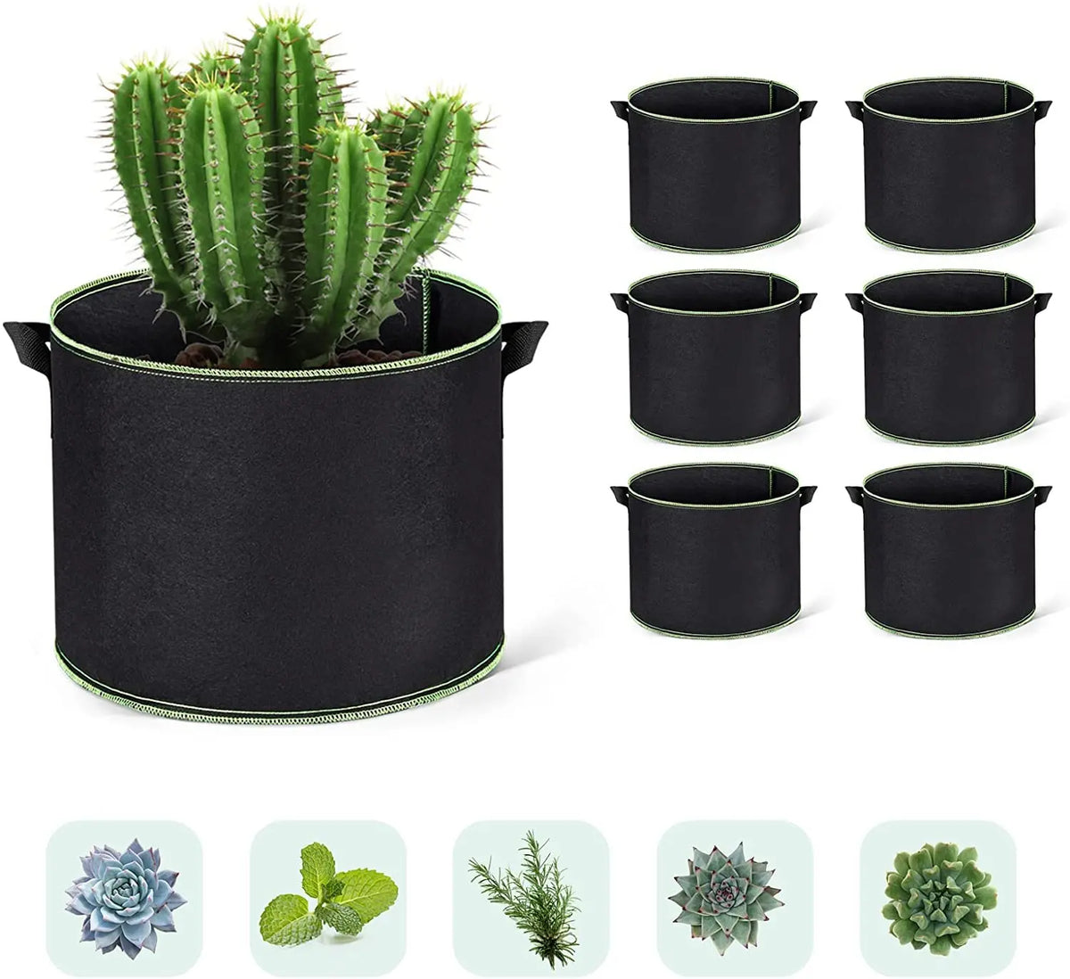 A potted cactus plant in a black grow bag with multiple black fabric plant pots.