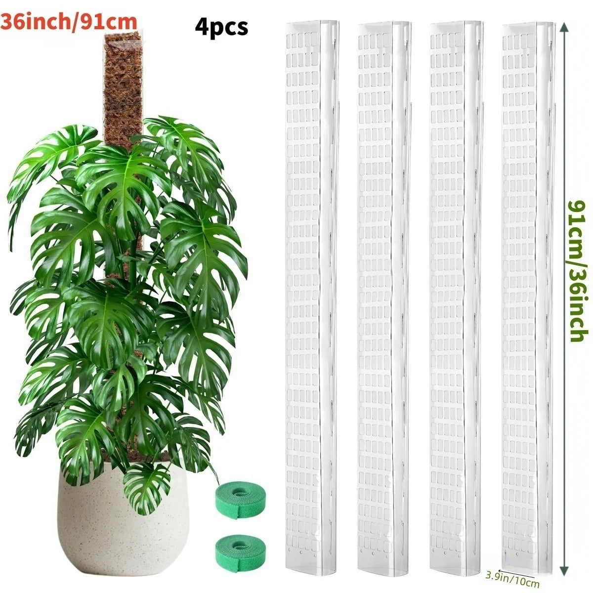 Hoher weißer Kunststoffmoosstab für Zimmerpflanzen mit 4 Stück neben einer Monstera-Pflanze.