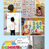 Magnetisches Alphabet-Lernset mit Buchstaben und Zahlen in verschiedenen Anordnungen für Kindererziehung