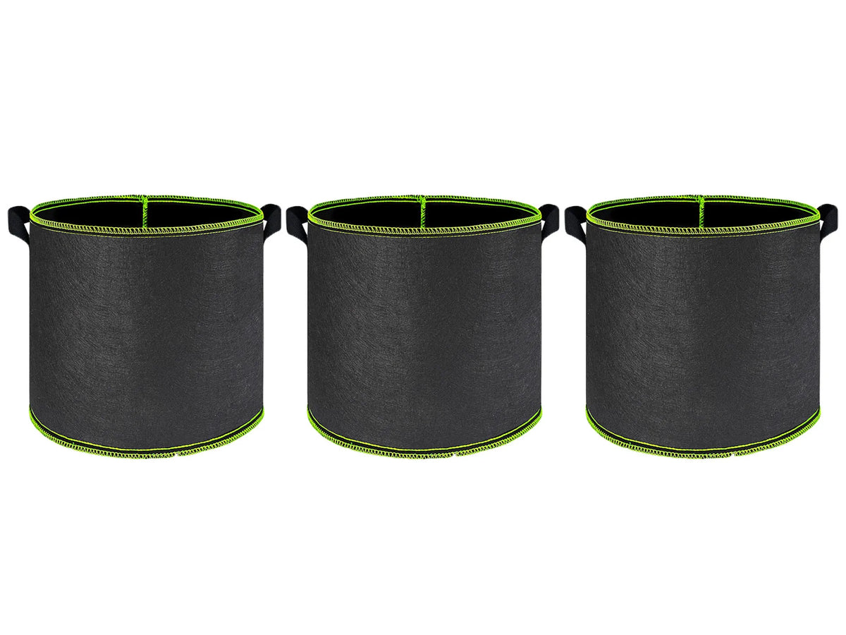 Three black breathable fabric plant grow bags with green trim and handles