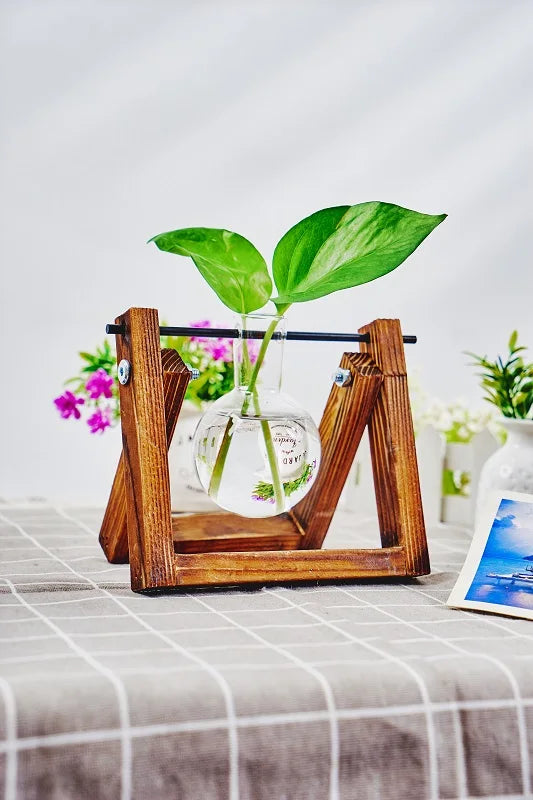 Una estación de propagación de madera sostiene un jarrón de vidrio con una planta creciendo en agua.