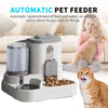 An automatic pet feeder device with a glass container and kibble, shown in a living room setting.