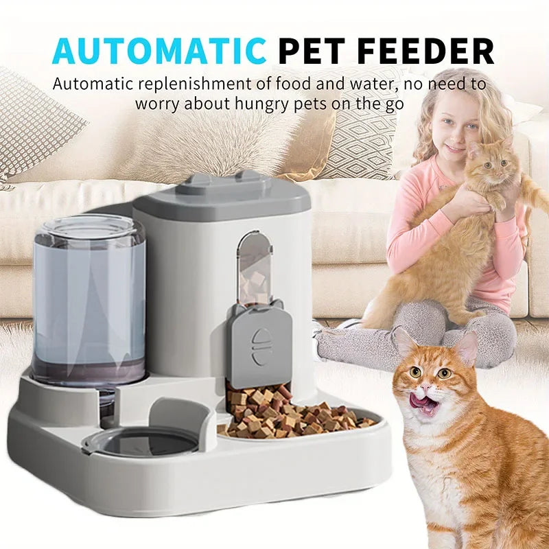 An automatic pet feeder device with a glass container and kibble, shown in a living room setting.