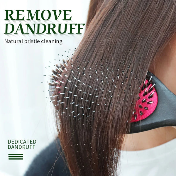 Boar Bristles Detangling Hair Comb