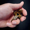 A hand holds a handcrafted wooden pocket cross with a heart cutout against a dark background.