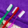 Una colección de cuatro cepillos de dientes de cerdas duras premium en verde, rojo y morado exhibidos sobre una toalla morada