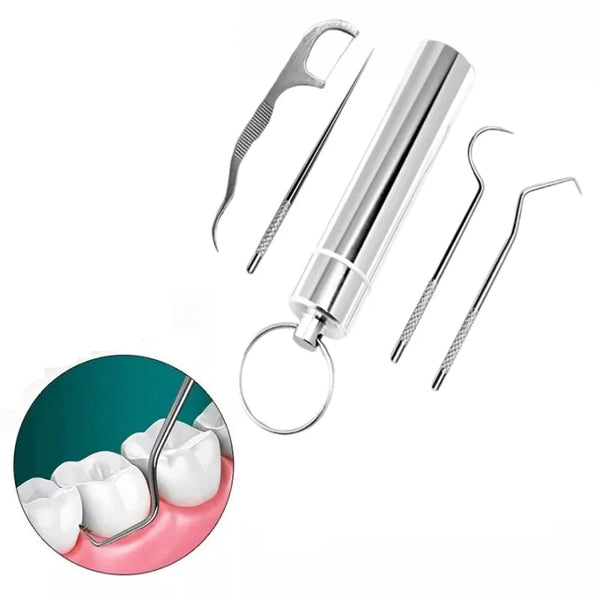 Stainless steel reusable toothpick set with various tips and a circular view of teeth