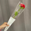 Une main tient une gaine en plastique transparent contenant une fleur de carnation rouge et du feuillage vert.