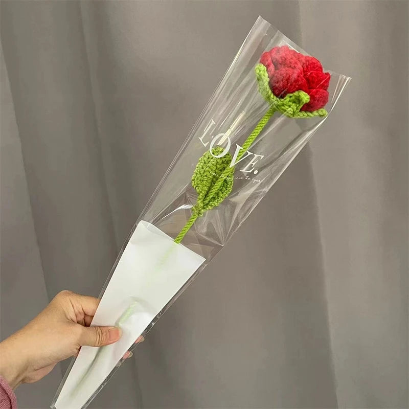 Une main tient une gaine en plastique transparent contenant une fleur de carnation rouge et du feuillage vert.
