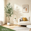 An artificial indoor olive tree in a white pot placed next to a light-colored sofa and a side table.