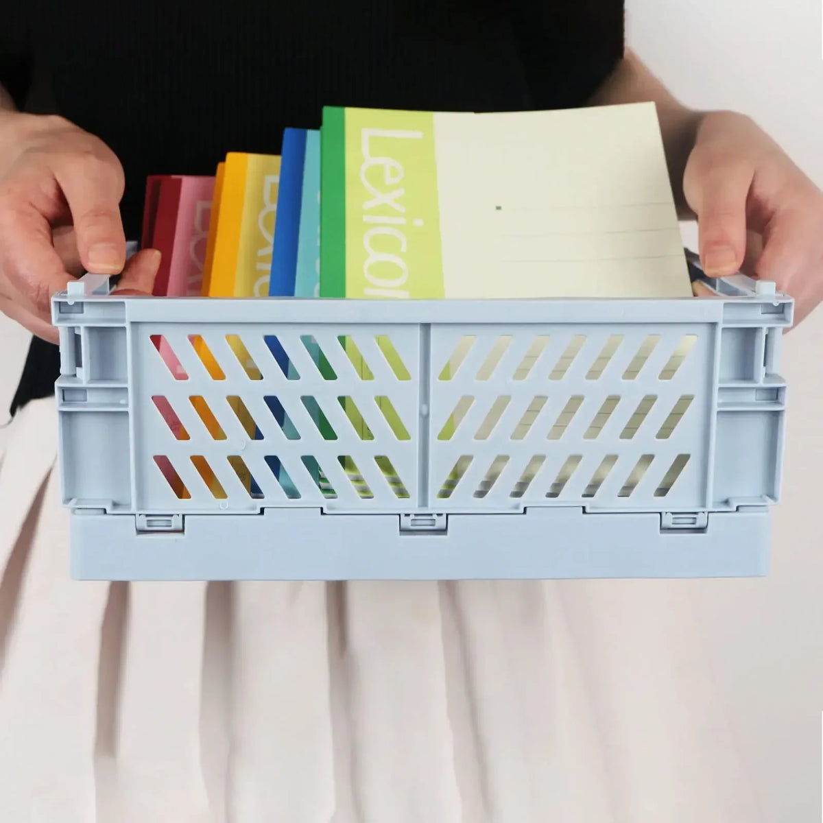Foldable Plastic Storage Baskets (Set of 2)