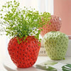 Leuchtend rote, stachelförmige Harzblumenvase mit grünem Laub, auf weißem Untergrund.