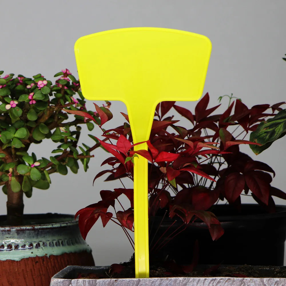 A bright yellow T-shaped plant marker is shown standing in a pot among dark red and green foliage.