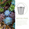 A galvanized metal pail used as a flower pot for succulents and plants