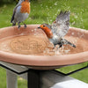 A small bird is splashing water onto a copper disk bird bath in an outdoor garden setting.