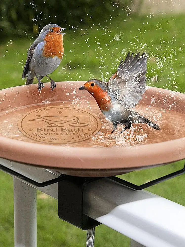 A small bird is splashing water onto a copper disk bird bath in an outdoor garden setting.