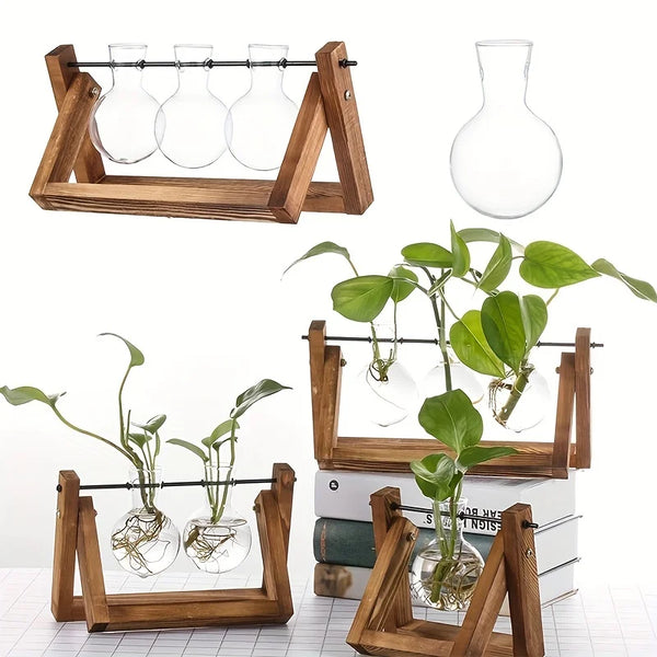 A wooden propagation station holding several glass vials for plant propagation.