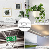 A collection of various hanging items including a photo frame, potted plants, warning signs, and a chandelier.