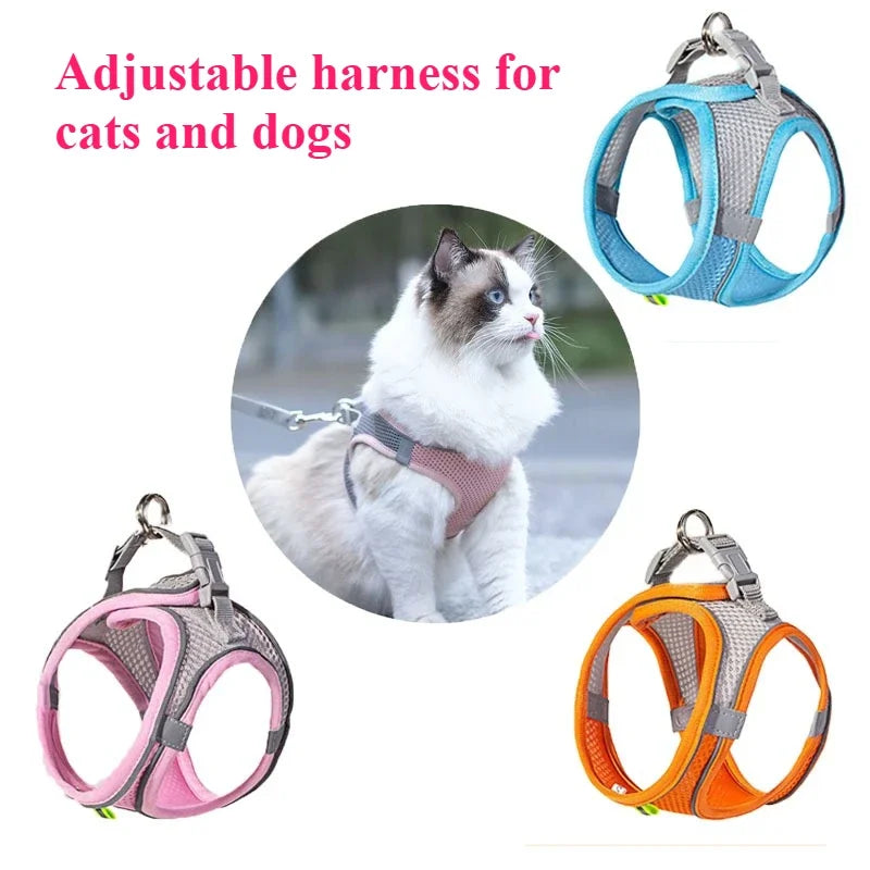 Adjustable harness for cats and dogs shown in various colors including blue, pink, and orange.