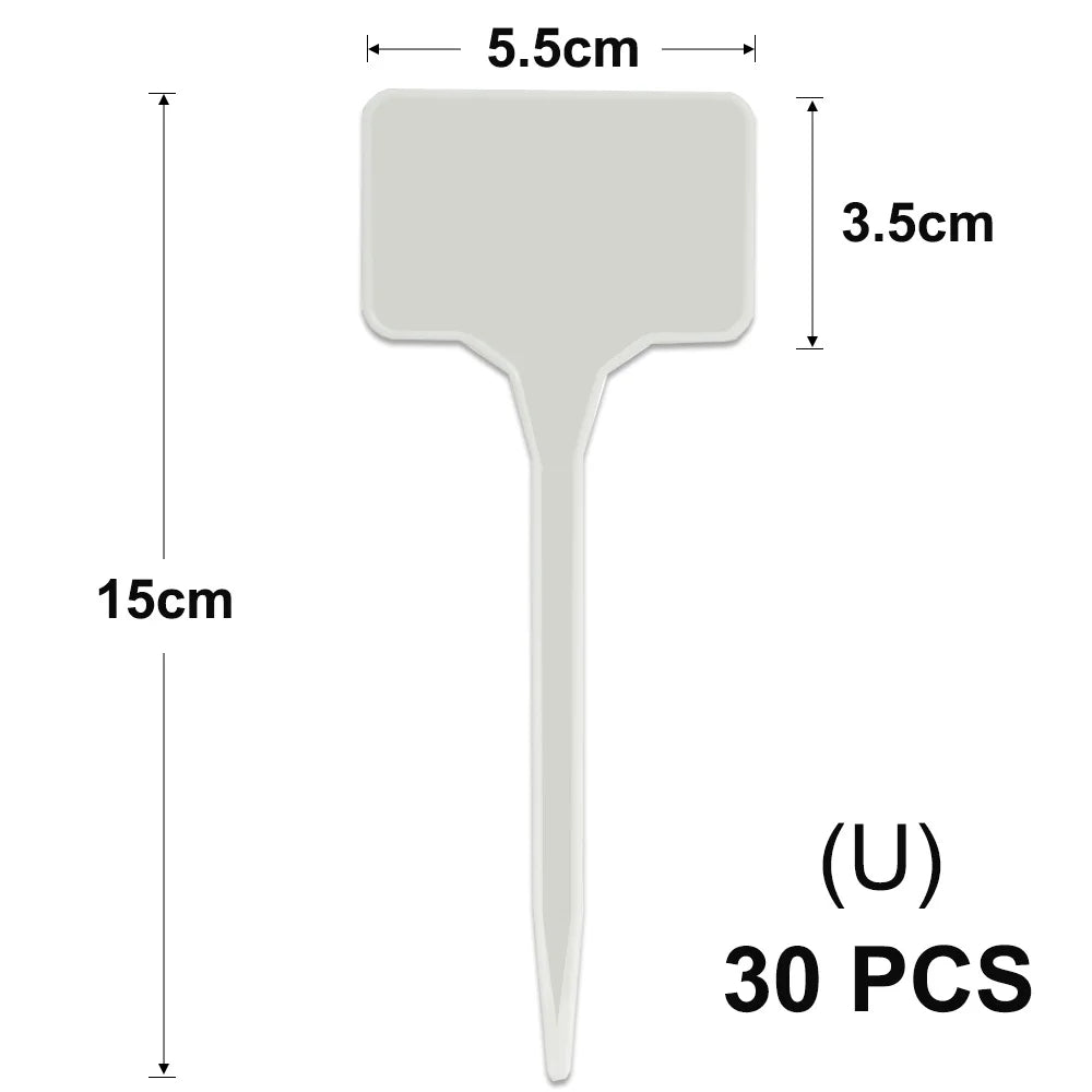 A white T-shaped plant marker with a 5.5cm wide top and a 15cm long stem, shown next to a count of 30 pieces.