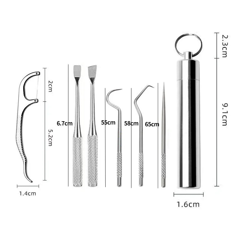 Stainless steel reusable toothpick set with a metal cap and various sized toothpicks.