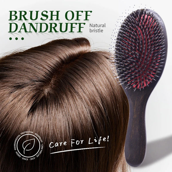 Boar Bristles Detangling Hair Comb