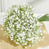 A bouquet of artificial baby's breath flowers with green stems displayed on aged paper.
