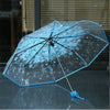 Ein klarer, blumend gestalteter Regenschirm, geöffnet, auf einer reflektierenden Oberfläche.