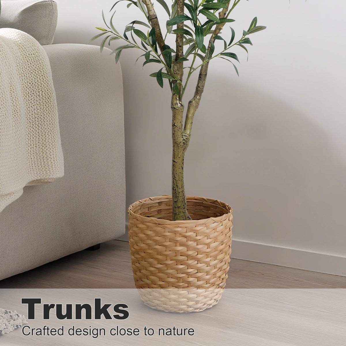 A potted olive tree in a woven basket sits on a wooden floor next to a light gray sofa.