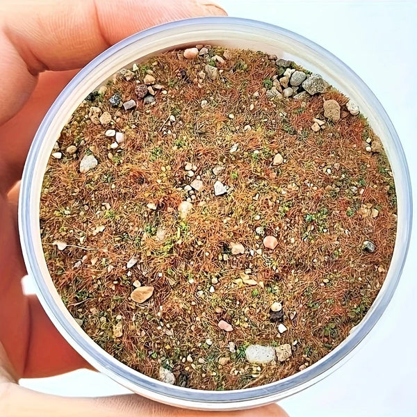 A clear container filled with a DIY miniature landscape kit containing simulated grass and small stones.