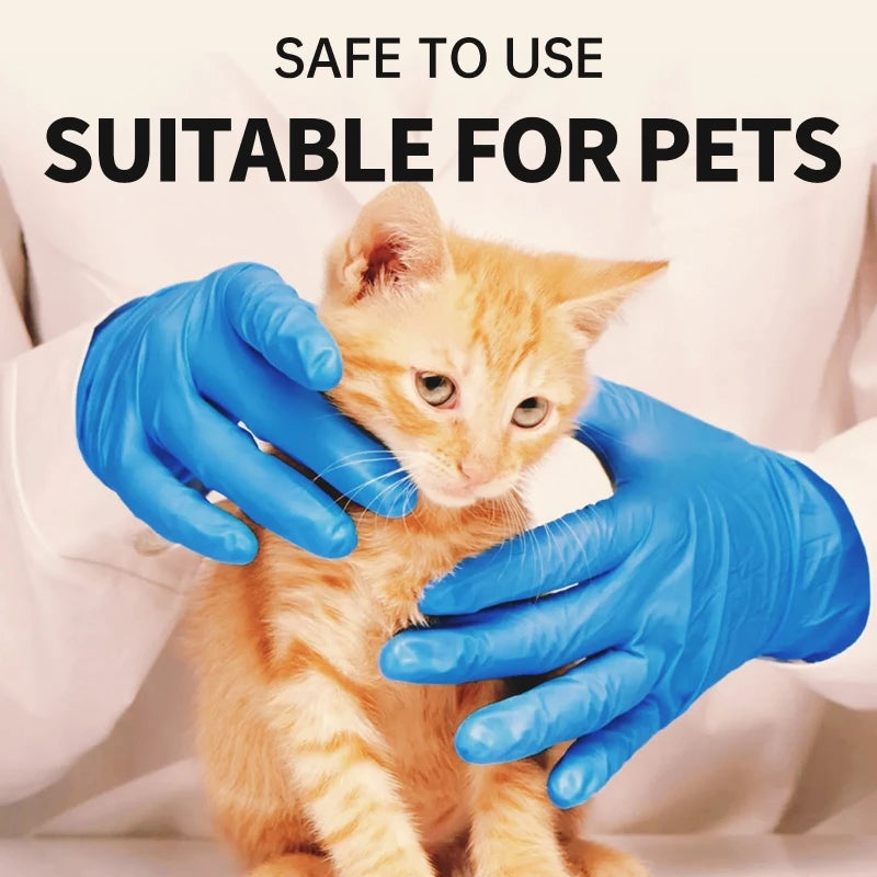 A small orange kitten is being held by a person wearing blue nitrile disposable gloves.