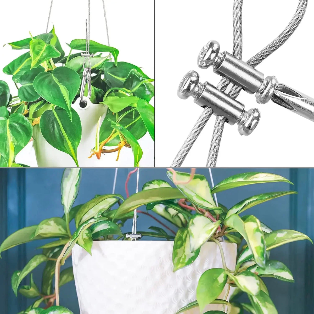 Close-up view of adjustable steel wire rope cable clamps used to suspend a potted houseplant.
