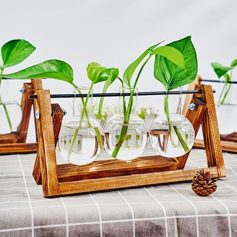 Una estación de propagación de madera contiene frascos de vidrio con plantas verdes jóvenes creciendo en agua.