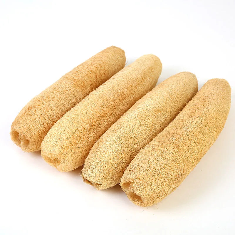 A bundle of natural loofah exfoliating body sponges with hanging ropes.
