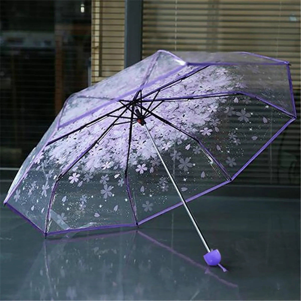 Ein durchsichtiger Regenschirm mit lila Rahmen und weißem Blumenmuster auf einer reflektierenden Oberfläche.