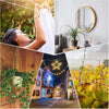 A collage showing a person stretching, a potted plant hanging, and a festive street scene with lights.