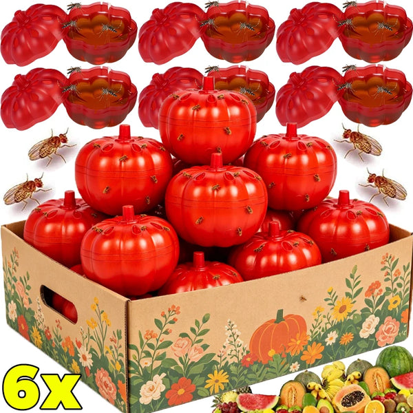 A box filled with six reusable red fruit fly traps for kitchen pests.