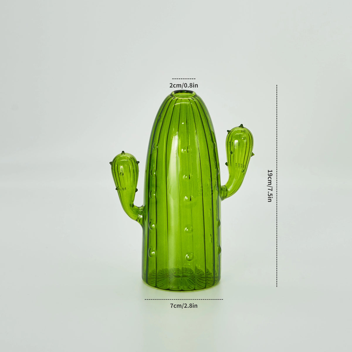 Un vase en verre de cactus vert vif et haut avec un corps texturé et de petites bras, sur fond blanc.